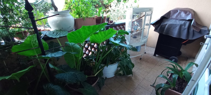 To Let 2 Bedroom Property for Rent in Bethlehem Free State